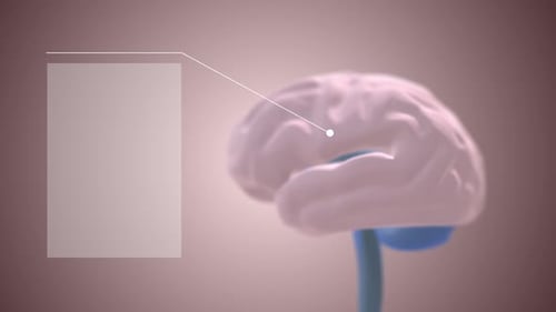 Brain with glowing neuron connection on modern medical background