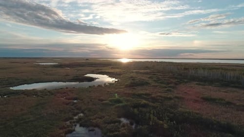 Aerial Landscape in Rural Area Drone Flies Over the Green Grass in Marshland Beautiful Morning