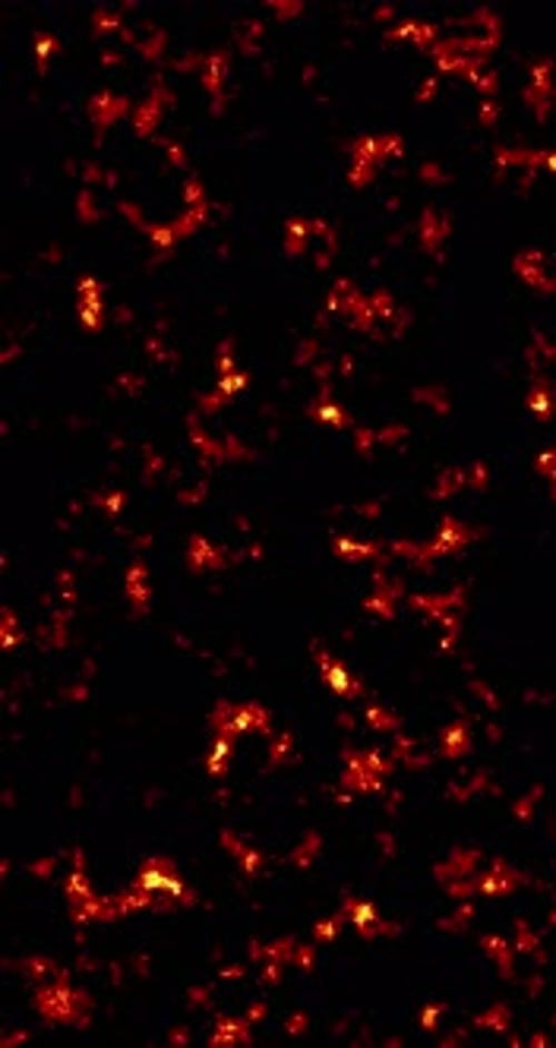 Vertical Fiery Abstract Energy Flowing Background