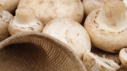 Fresh White Button Mushrooms on Burlap, Close Up