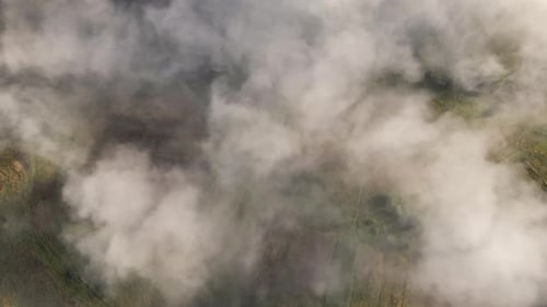 Aerial View From Above of Morning Fog Over Green Wooded Landscape