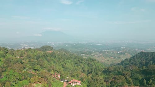 Tropical Forest Park