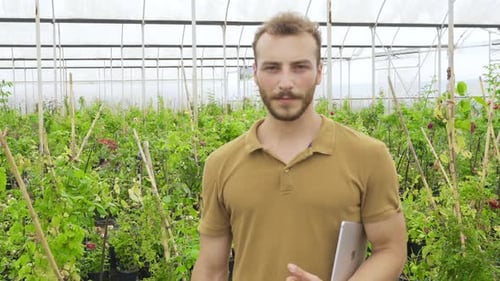 Man Stands with Tablet Amongst Greenhouse Plants