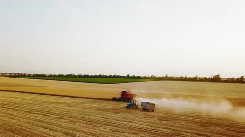 Vue aérienne par Drone Des moissonneuses-batteuses travaillant dans un champ de blé au coucher du soleil | Chauffeur de machine
