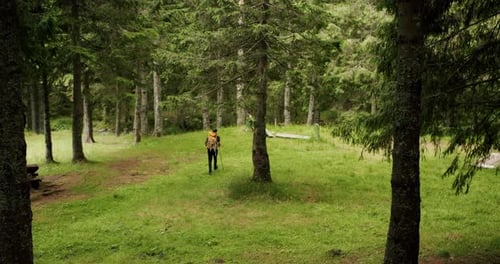 Person Hiking With Backpack in Green Forest