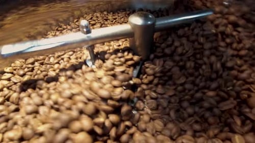 Cooling coffee beans after roasting. Roasting close-up