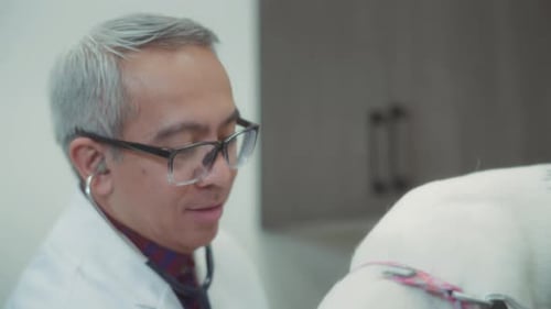 Male vet doctor inspects a dog in the clinic