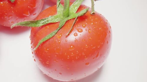 Close Up of Fresh Red Tomatoes