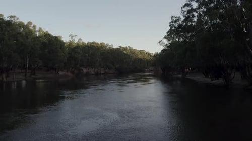 Moving shot going up the Murray River in NSW.