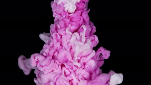 Pink and White Ink Swirling on Black Background