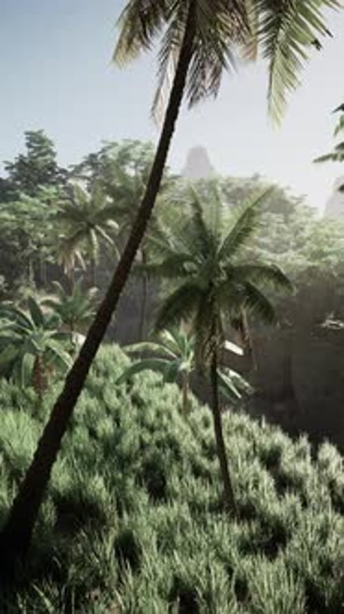 Tropical Forest Scenery With Dense Greenery