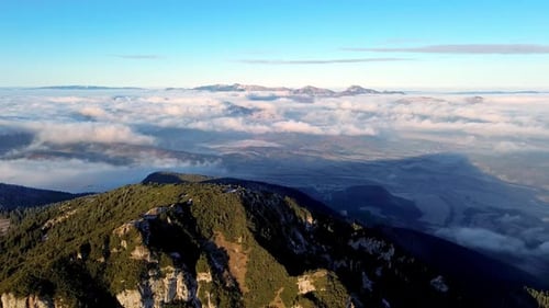 Aerial View of Mountainous Landscape with Forests Valley Full of Fog