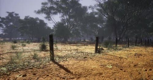 Barbed Wire Fence in Dry Rural Landscape
