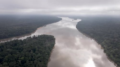 Congo Basin rainforest in the democratic republic of Congo.