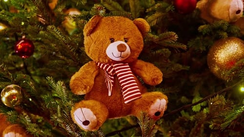 Teddy Bear Ornament Closeup Teddy Bear Ornament on Christmas Tree Christmas Mood Christmas Tree is