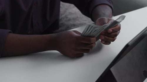 Profit Money Business Income Man Counting Cash