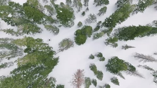 Winter Season Snowy Mountain Forest Aerial Shot Scenic Winter Natural Landscape