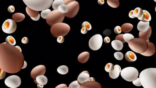 Slow Motion Of Fresh Brown And White Egg Falling On Black Background.3d White And Brown Chicken Eggs