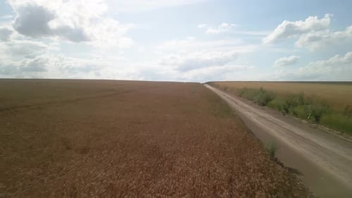 Wheat field aerial view in Ukraine