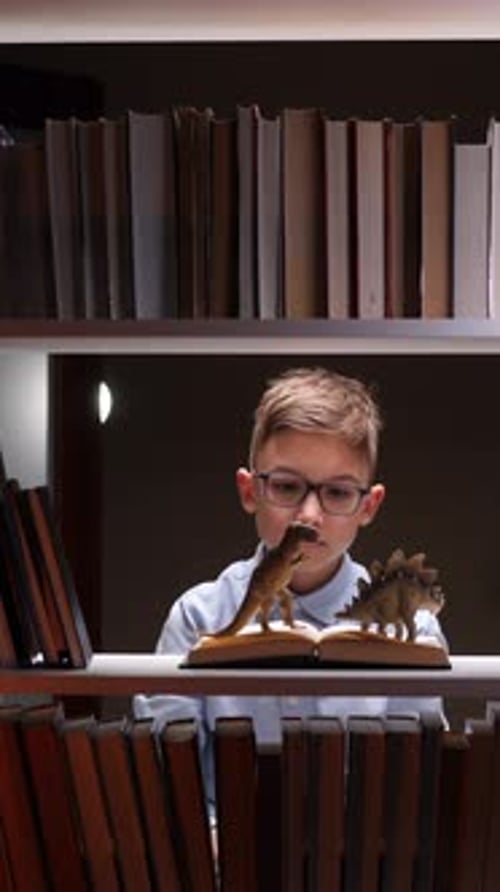 Vertical Video Curious Young Paleontologist Reading a Book About Dinosaurs in Library