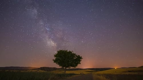 Night Sky with Milky Way over Rural Field
