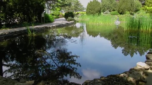 Footage of the beautiful Japanese Garden and its pond, located in Margaret Island in Budapest,