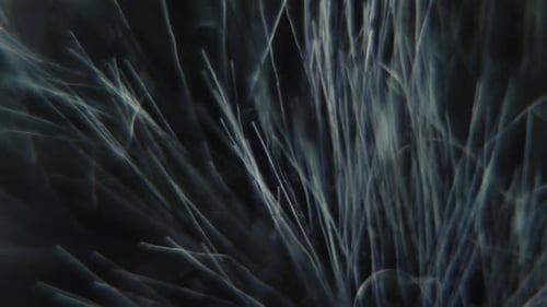 Aufnahme der Windschutzscheibe eines Gewehrmikrofons, pelziges Cover, Kameraausrüstung, Tonaufnahmegerät, langsam