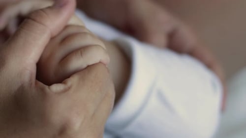 Infant Hand Clasped by Loving Adult