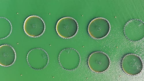 Aerial View Of Fish Ponds In The Dam Lake