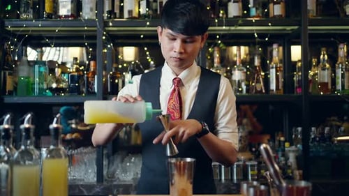 4K Male bartender preparing alcoholic drink in cocktail shaker serving to customer at restaurant bar