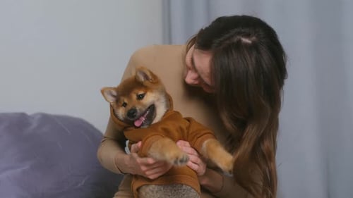 Woman Cuddling a Shiba Inu Puppy in Hoodie