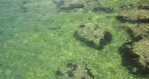 Quiet waters of the Adriatic Sea with clear water and rocky bottom.