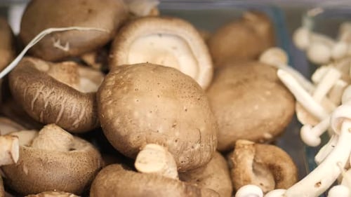 Raw Champignon Mushroom on Table