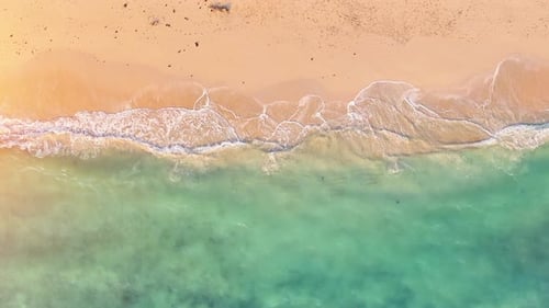 Beach sea palm island tropical ocean sand tree sky water paradise travel nature vacation summer.