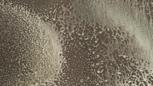 Person Sprays Window Cleaner From a Spray Bottle Onto the Window Panes Cleaning the Windows Closeup