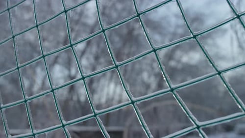 Green Sports Net Covered in Thick Winter Ice