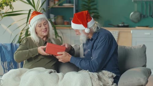 Senior Couple Celebrating Christmas at Home
