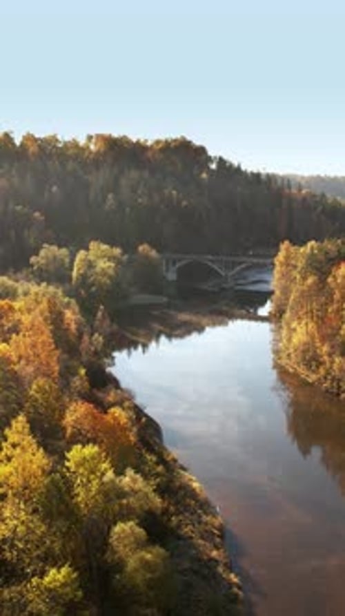 Autumn colors reflect on serene river beneath a bridge in the forest
