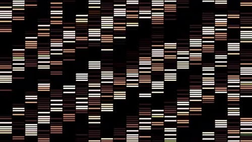 Bucle sin costuras de rayas cortas fluidas de color marrón