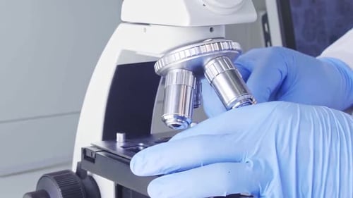 Gloved Hands Prepare Microscope Slide for Analysis