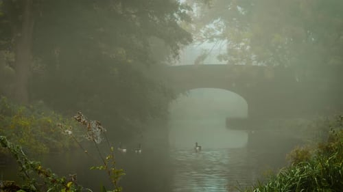 Early Fog Covering Silent River with Ducks Reflecting Old Stone Bridge Light Mist Covering Peaceful
