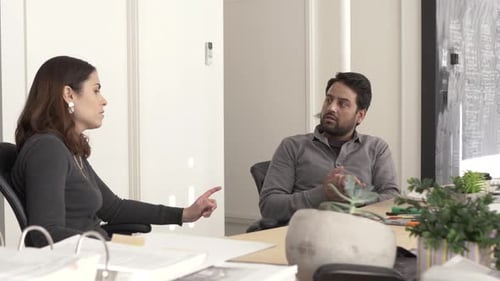 Of Two Colleagues Discussing in Office