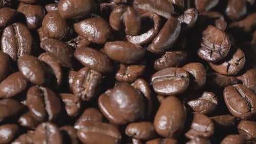 Slow motion of roasted coffee beans falling. Organic coffee seeds.