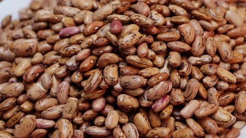 Pile of Pinto Beans Close Up