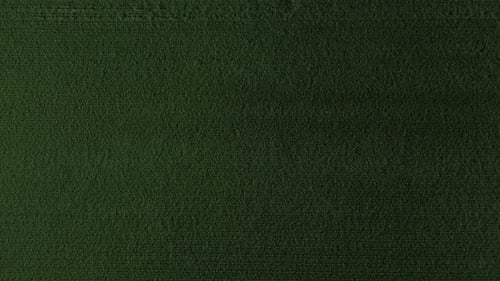 Straight down aerial shot of the farmers field with green crop waving in wind