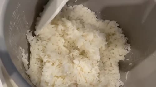 Sticky white rice being scooped into a bowl right out of a rice cooker. A common side dish that goes
