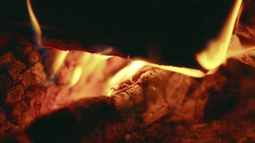 Gros plan des flammes vacillantes provenant de bûches de feu de camp extérieures