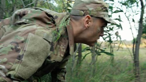 Promenades militaires dans la forêt