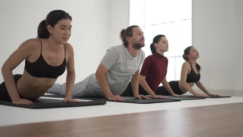 Group of People Practicing Yoga Indoors Together