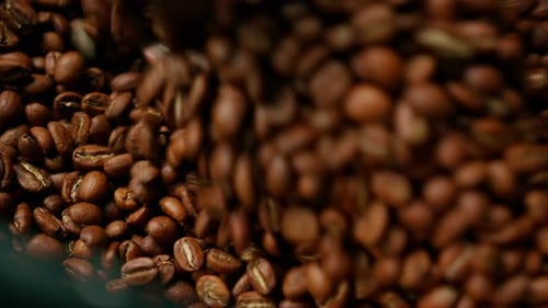 Close Up of Brown Roasted Coffee Beans